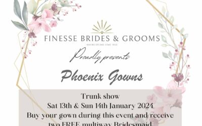 Finesse Brides and Grooms Proudly Presents Phoenix Gowns